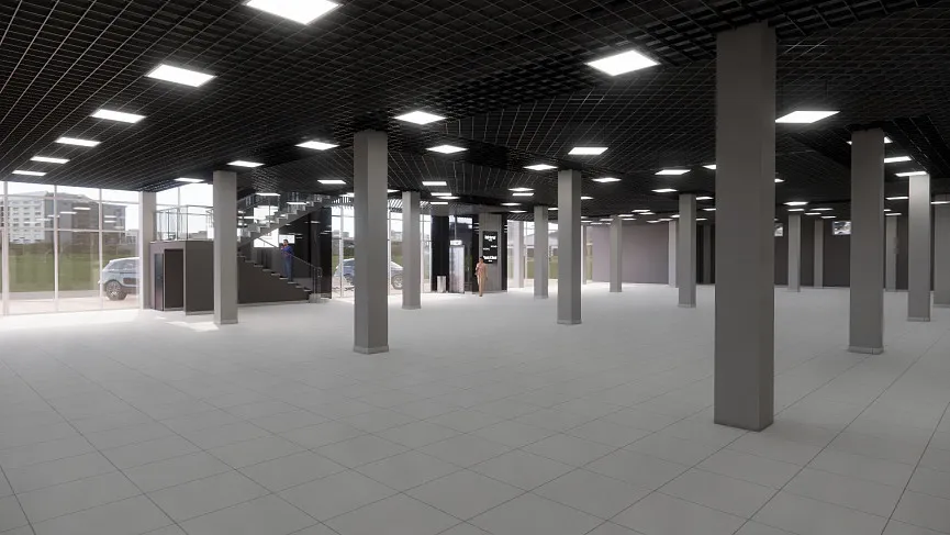 Оформление потолка и входа в ТЦ Magnolia Plaza, Черкассы